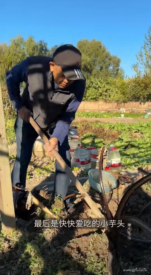 原来他们是梅婷的公婆，待儿媳如亲生女儿，老两口把孙女宠成宝！