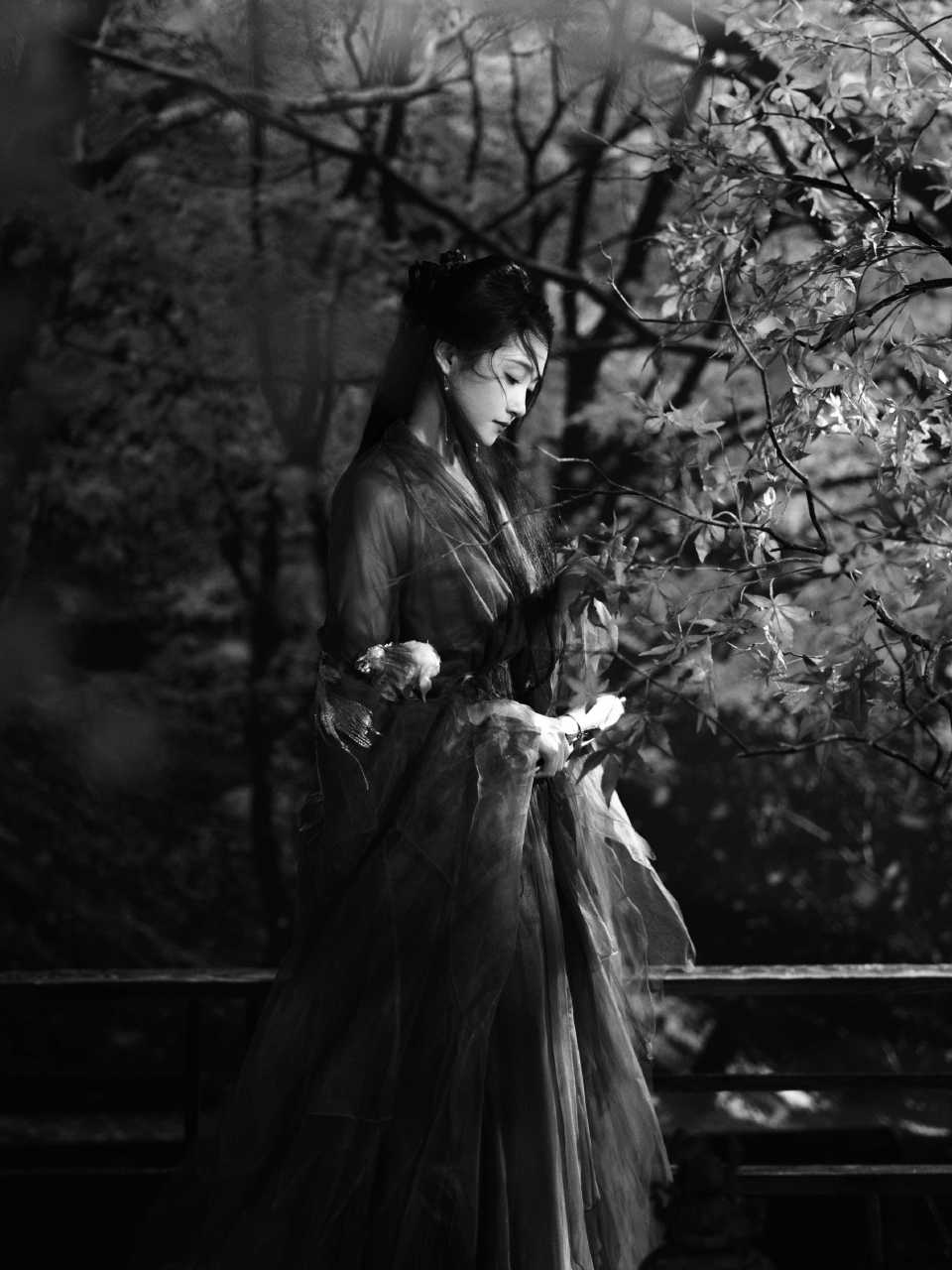 关晓彤造型越来越好看！一袭红衣，惊鸿一瞥的明艳撞入人心的惊艳