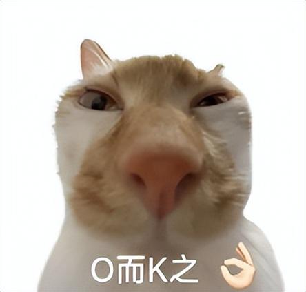 小米雷軍剛剛的劇透發布會，把網友都整不會了