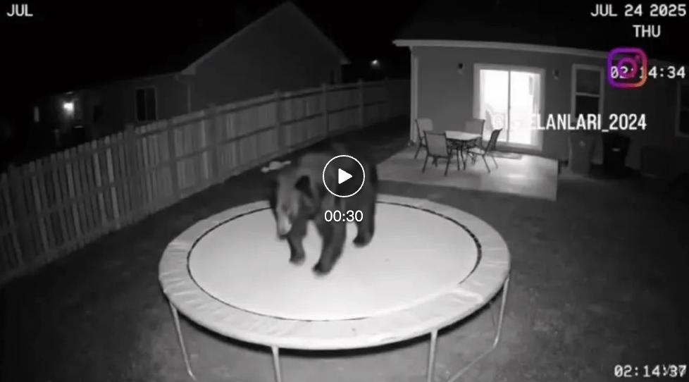 三重激励+全周期扶持，即梦这个计划，让AI创作者的成长有迹可循