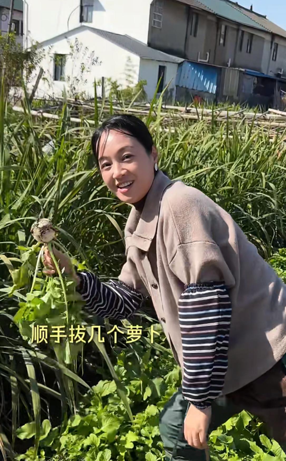 44岁朱丹回金华老家！穿水靴割茭白，吃大碗猪油面， 妈妈罕见露面