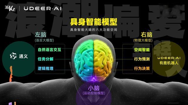 有鹿机器人创始人兼CEO陈俊波:具身智能是中国产业革命的机遇