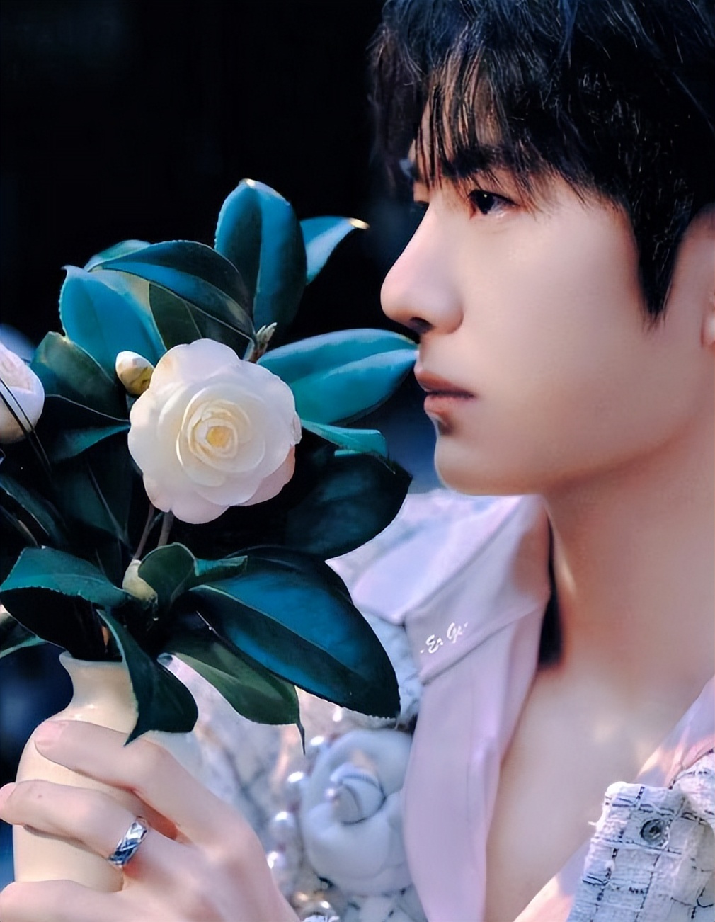 绝望的文盲刚两年,王一博就以这种方式登上神坛,官媒亲自确认