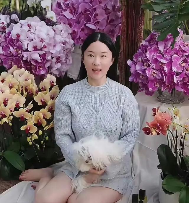 霍思燕一脸富婆相,胖得眼睛都快没了,没有一点女明星形象了!