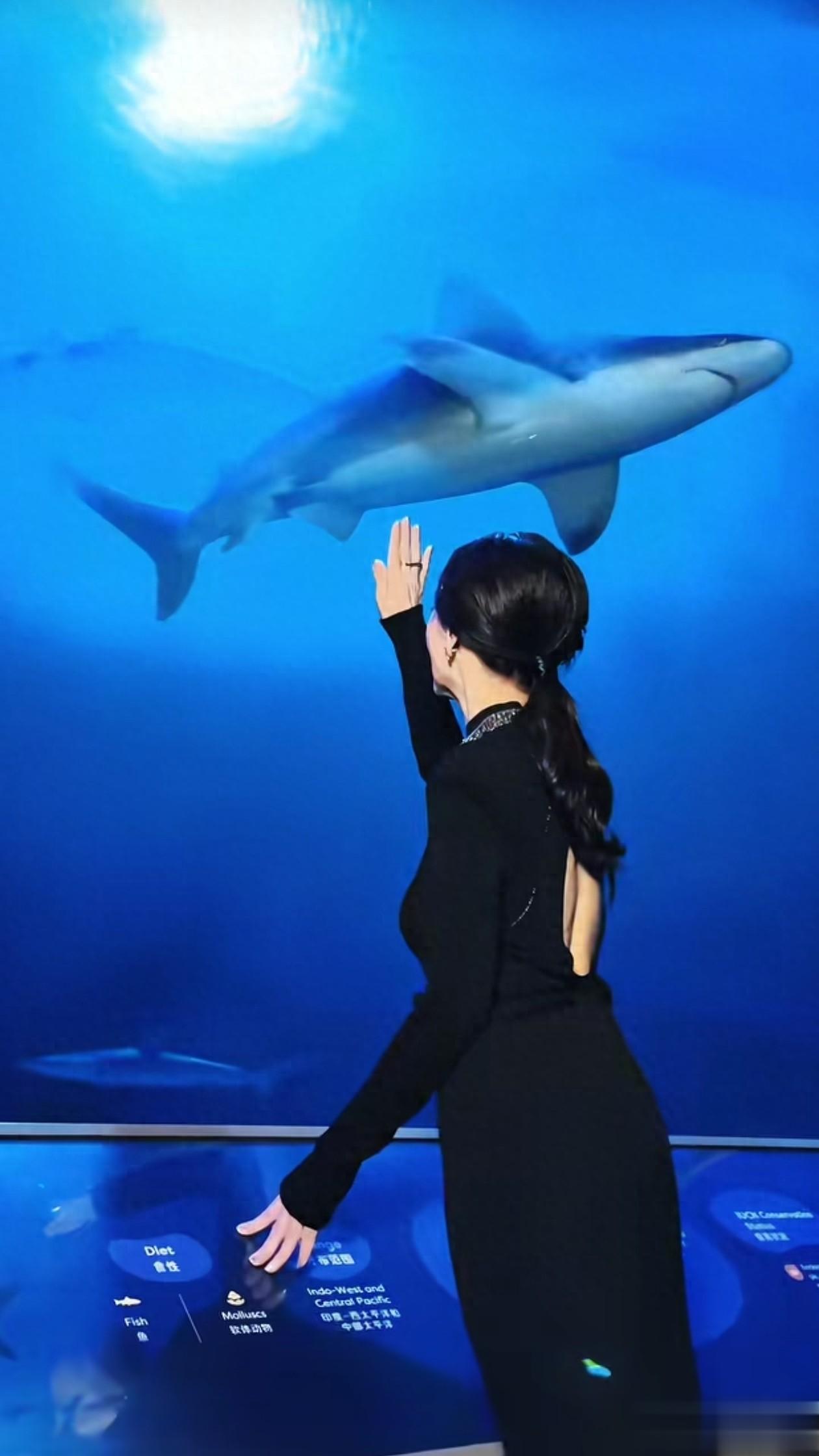 72岁赵雅芝最新穿搭:低马尾+黑色露背裙,勾勒好身材,美得像50