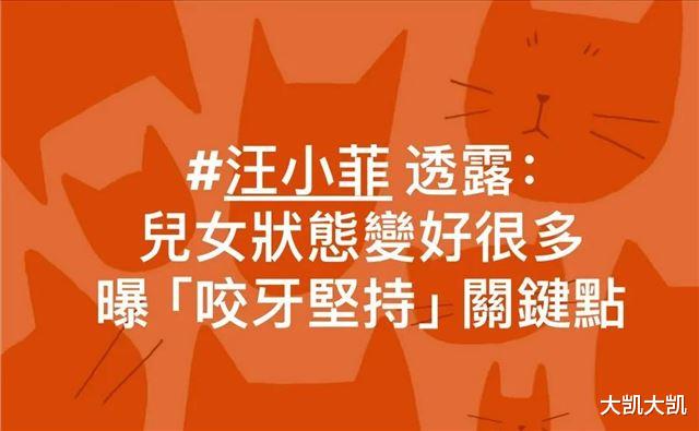 大结局了！S妈输的一塌糊涂！双方达成共识，汪小菲带孩子首亮相