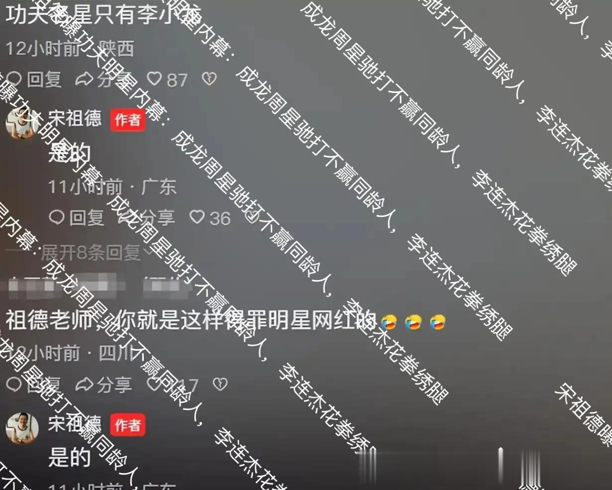 宋祖德曝功夫明星内幕：成龙周星驰打不赢同龄人，李连杰花拳绣腿