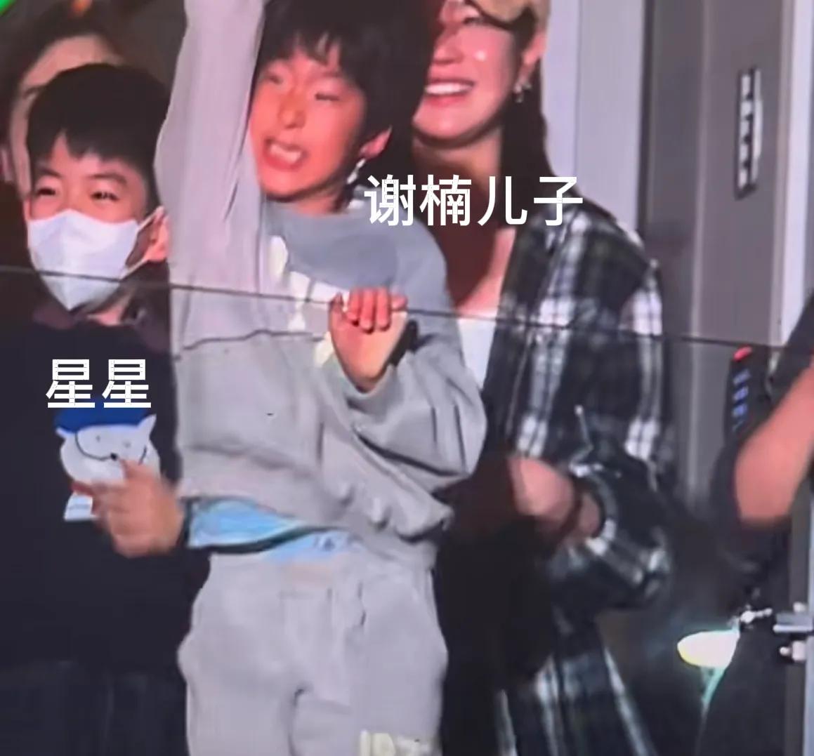 陈妍希带儿子，和谢楠一起去看陆虎演唱会，星星浓眉大眼颜值超高