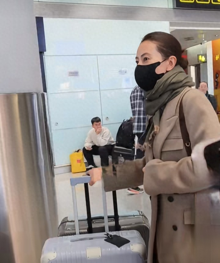 高圆圆机场路透,盘发搭驼色大衣,美貌与气质并存