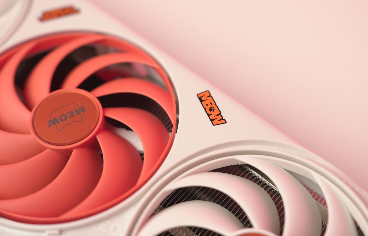 全网最有性格的RTX 5060显卡评测：DLSS 4真的猛！