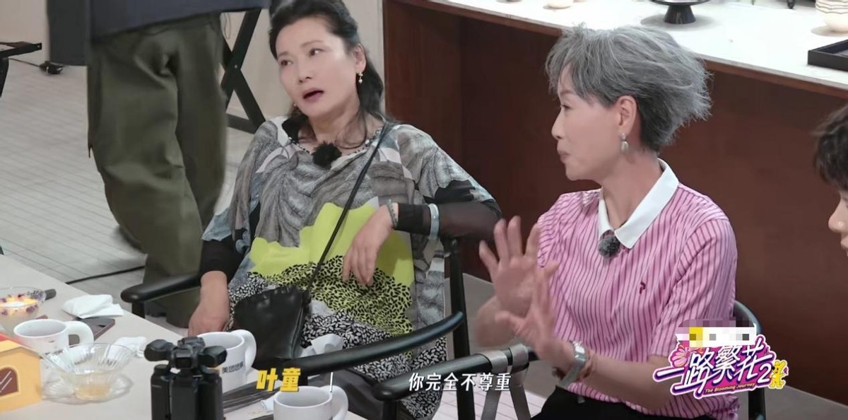 《一路繁花2》女星洁癖，刘嘉玲自带马桶垫，张柏芝不洗澡不上床