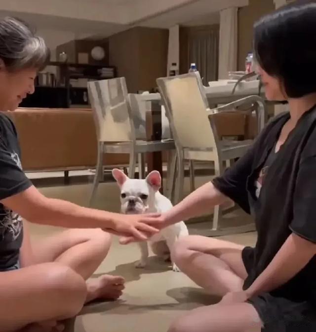 难怪S妈要发文征友，张兰更新视频疑似劝慰S妈