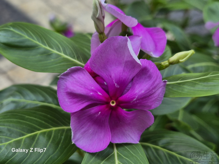 三星Galaxy Flip7评测：内涵与众不同的小折叠