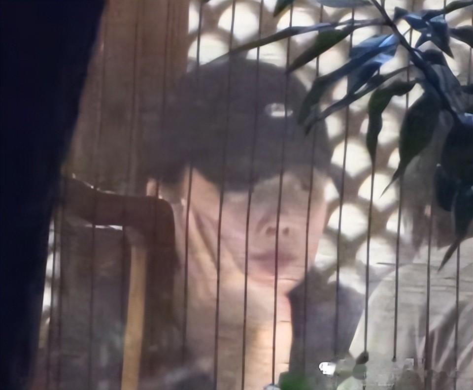 45岁殷桃带妈妈吃火锅,素人男友罕露面,矮又胖小心翼翼搀扶老人