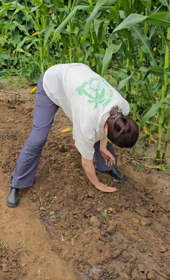 \中戏第一美人\变农村大妈，曾黎现状曝光，如今的下场怪不了别人