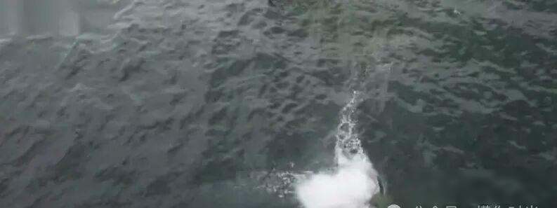 王一博徒手爬悬崖，摔进海里没人拦，观众吵翻了