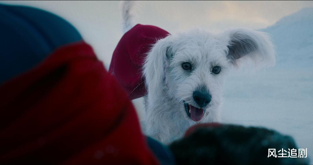 DC宇宙的新希望？詹姆斯·古恩DCU新宇宙《超人》首曝超长片段