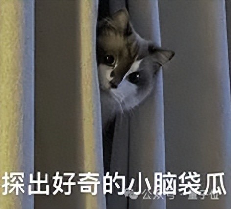 OpenAI奧特曼認錯：我天生不適合管理公司