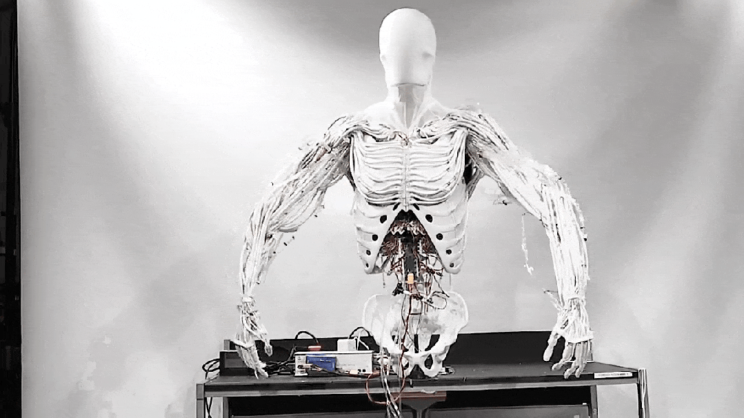 宇樹180芭蕾機器人，究竟啥水平？