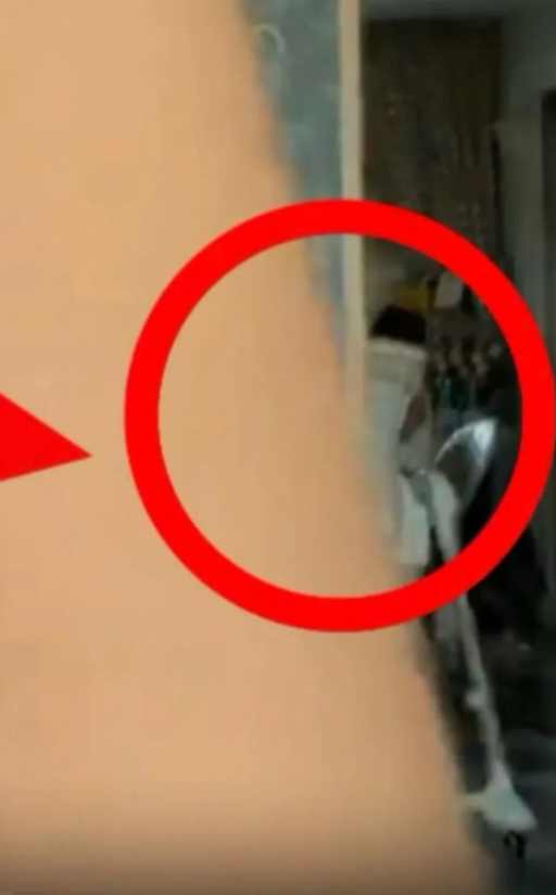 李小璐疑似生二胎?家中现婴儿椅,小男孩坐姿曝光引热议