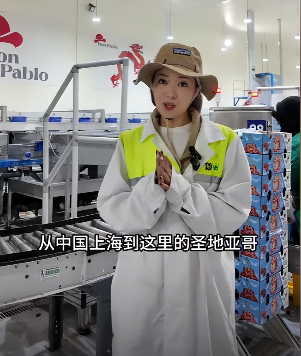 上海主持人麻伊琳，当年风光嫁豪门，离婚后独自带娃，如今怎样了