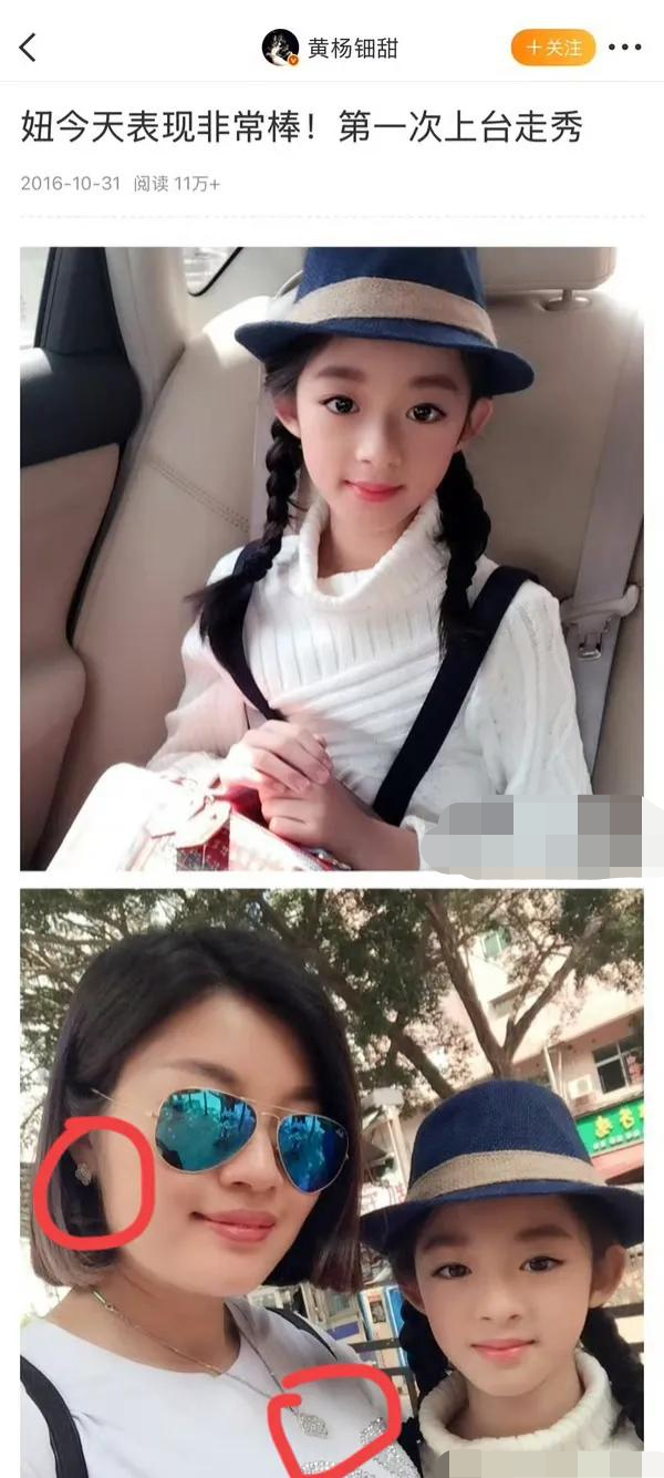 230万耳环只是开胃菜，全套首饰被扒出！胡锡进提醒有钱人别炫富