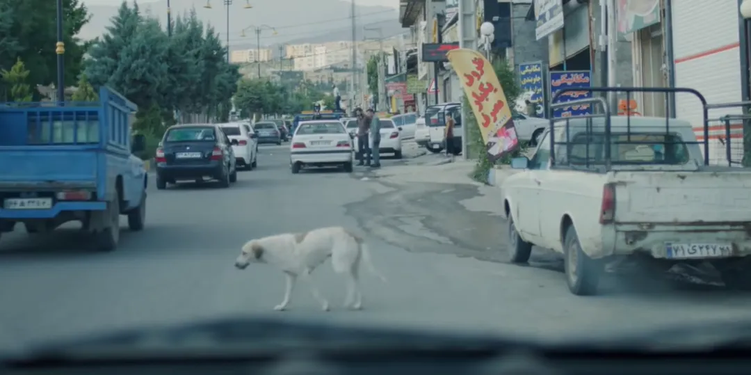 这被封杀的顶流，终于复出了