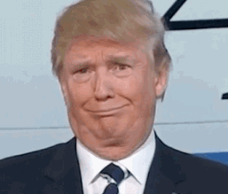 特朗普昨晚发布的新手机,这价格是疯了吧