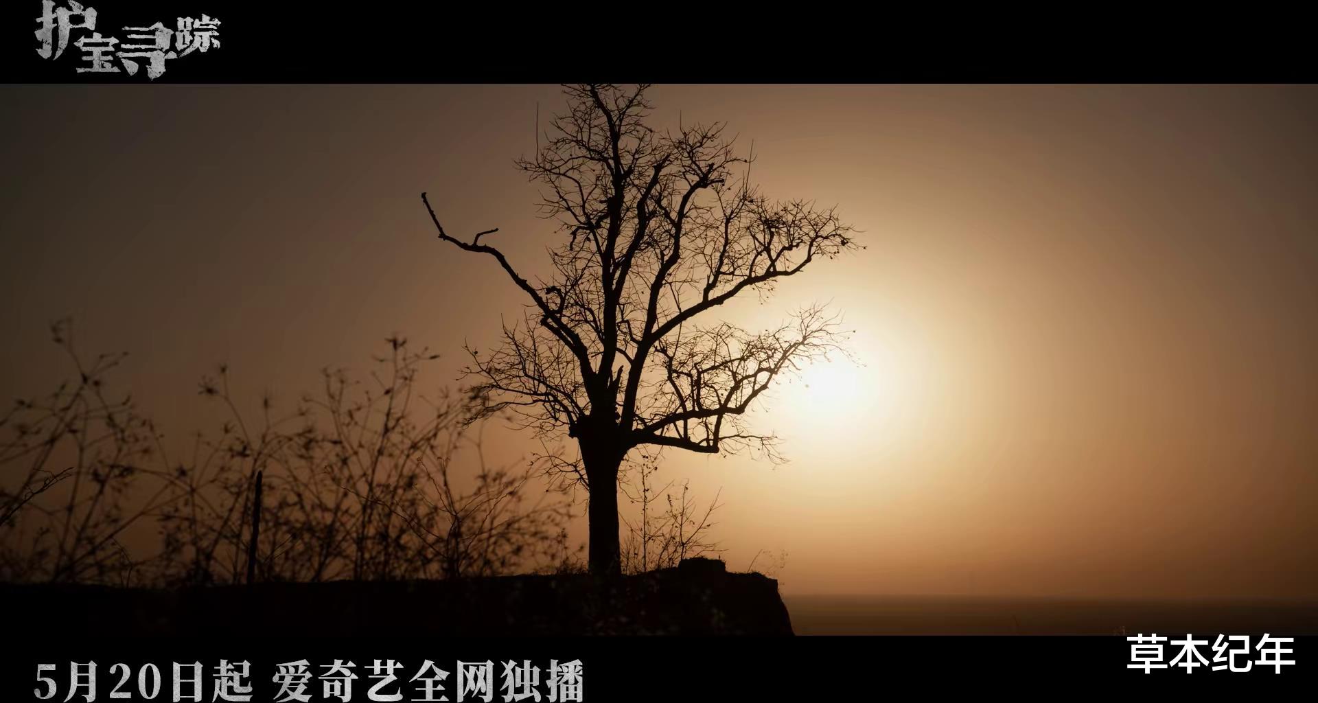 央视今晚开播！36集文保大剧来了！辛柏青富大龙主演，开播就封神