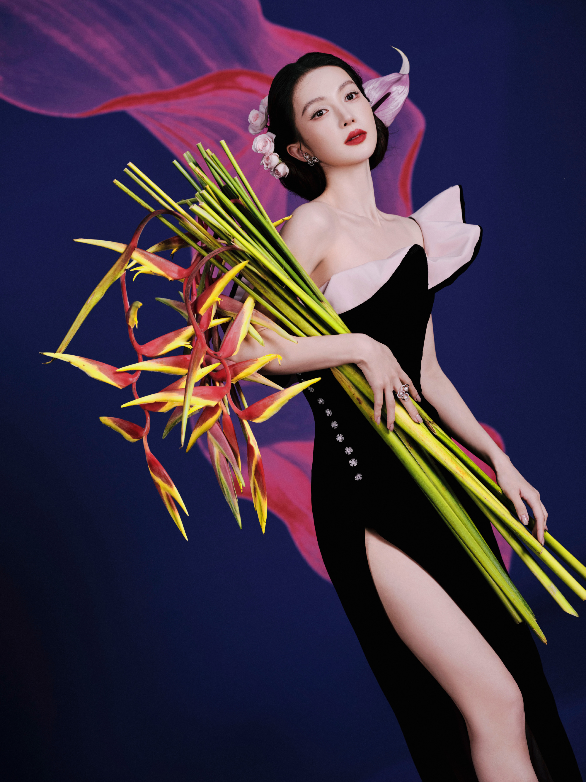 金晨人比花儿美