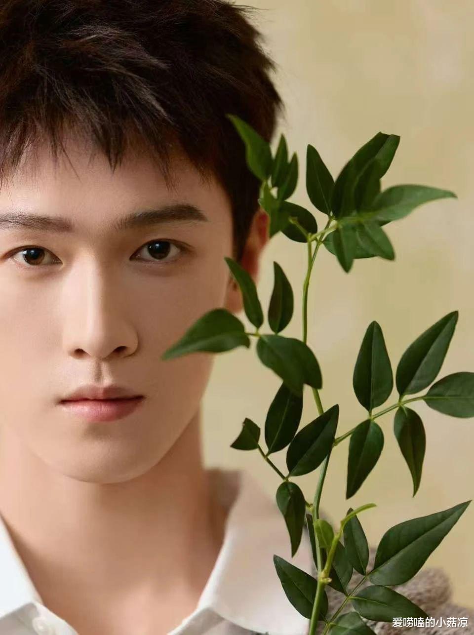 杨幂生万物口碑，周冬雨接演电视剧、李昀锐发新歌、赴山海定档、熟瓜汇总