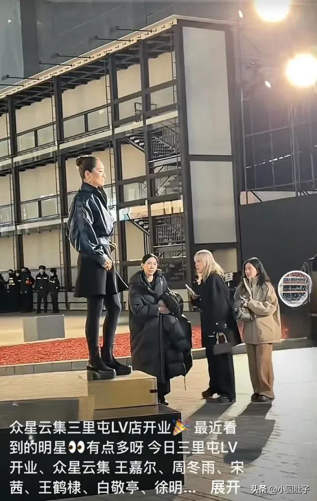 LV庆典修罗场：巩俐20分钟闪人，明星穿搭封神与翻车