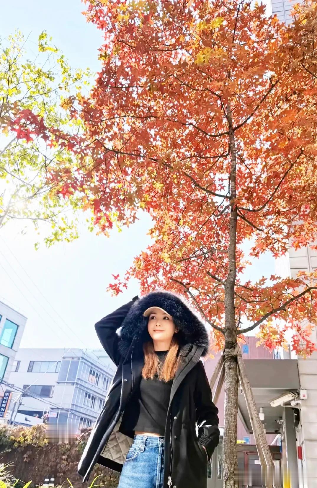 阿sa晒与妈妈一起看红叶树画面果然母女二人是姐妹花脸型一模一样