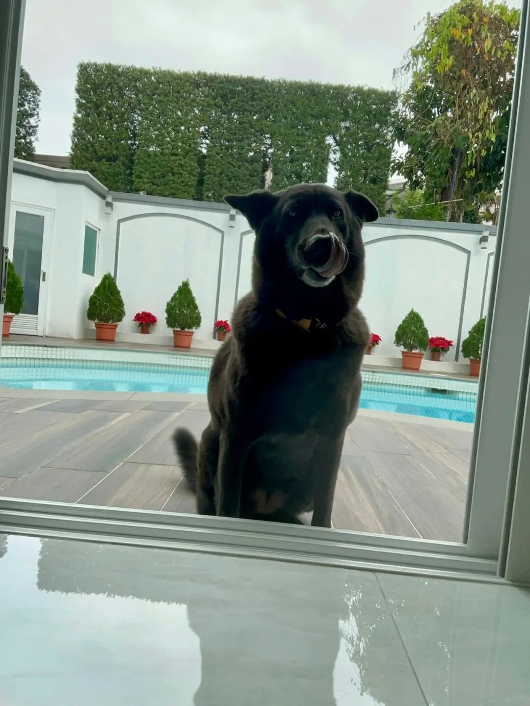 许绍雄女儿突悲痛发文：没想过会这么快再面临另一次告别