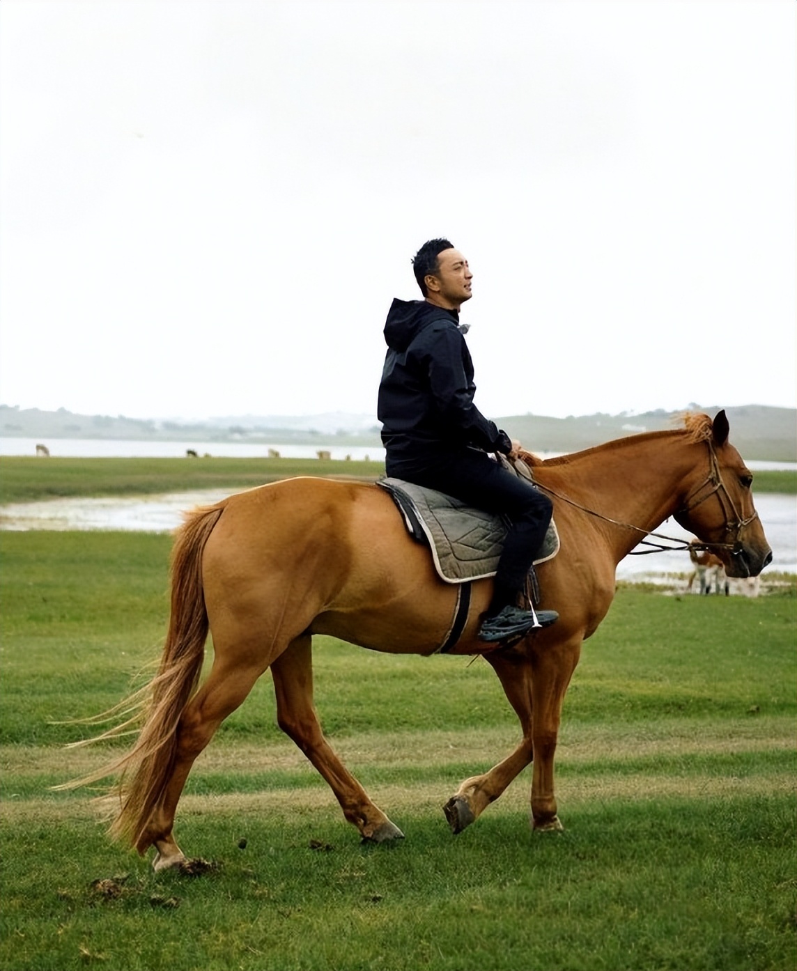 42岁尼格买提高调迎喜讯，央媒亲自发文，看来撒贝宁说对了