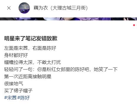 宋茜陈好大理度假！陈好穿V领身材太火辣，买衣服姐妹俩抢着付钱