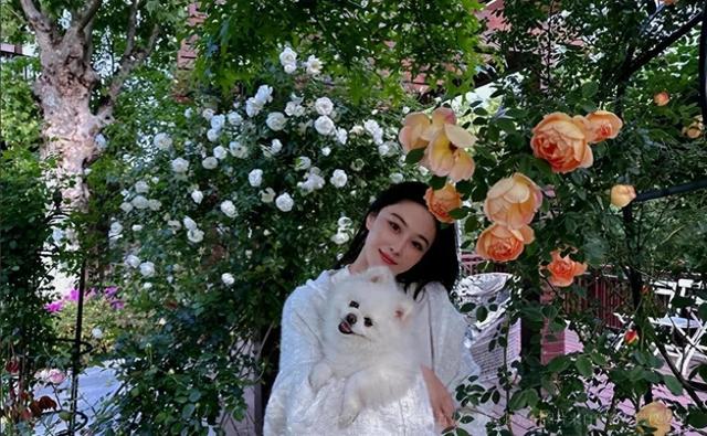 张馨予晒广州豪宅内景,老公何捷在客厅健身撸猫,37岁一身腱子肉