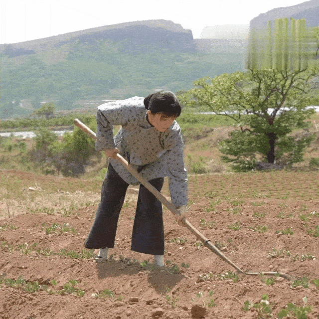 38 岁杨幂再破天花板,这一次,他让刘恺威和整个内娱“沉默”了