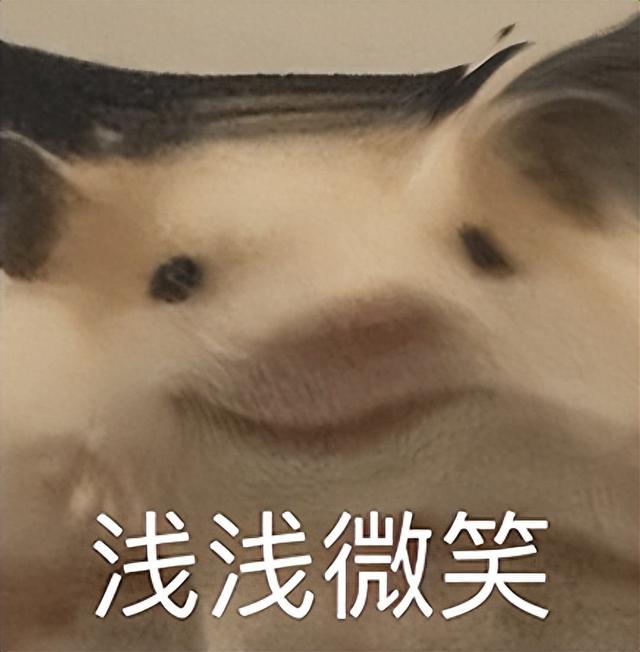 接下來的7月份，手機廠商還會放出這些大招