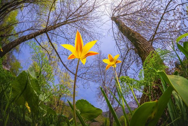 鱼眼天花板? 老蛙8-15mm f/2.8正式发布
