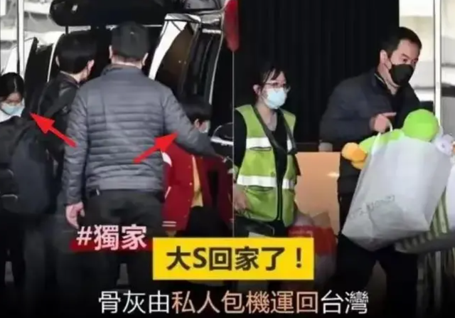 这一次,S一家“伪善”的嘴脸,彻底“藏”不住了