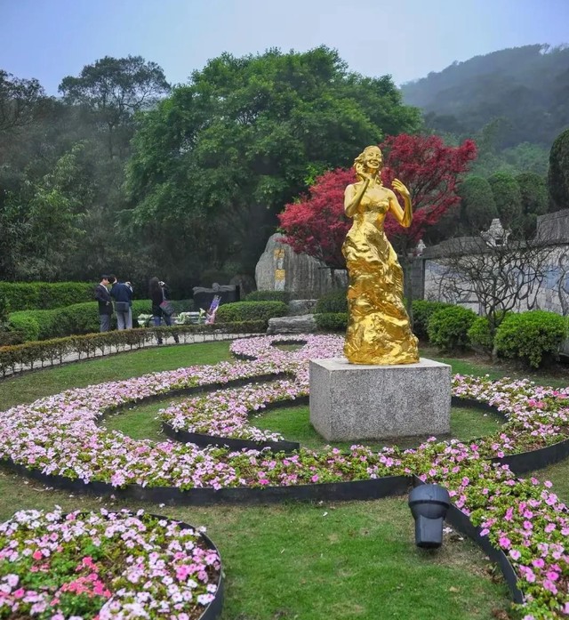 历时一个月大S墓地终于确定，价值千万与邓丽君相邻！这钱由谁出