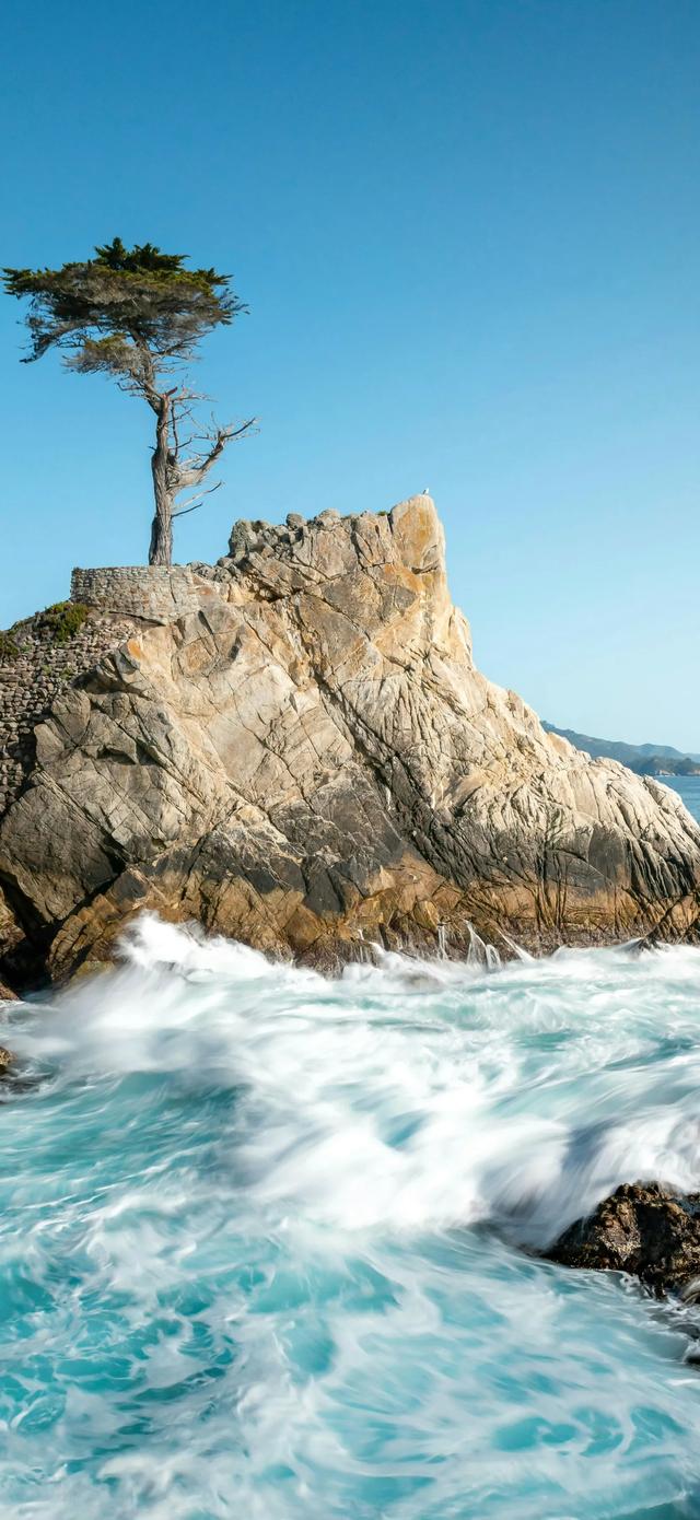 手机壁纸 | 浪漫的五月已来临