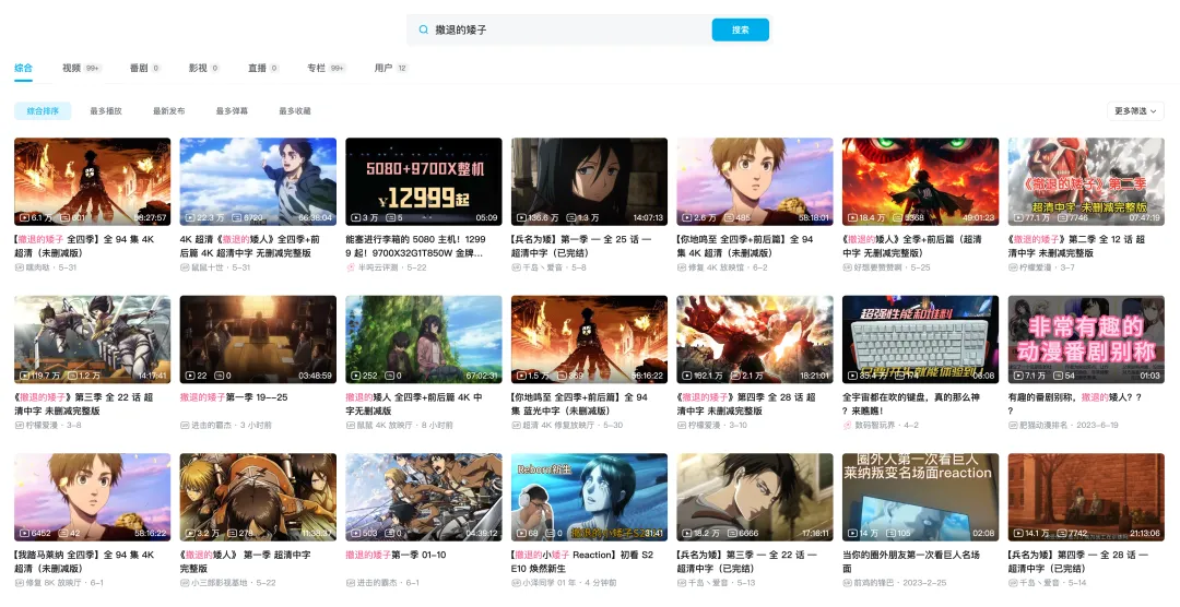 我在 B 站看盗版