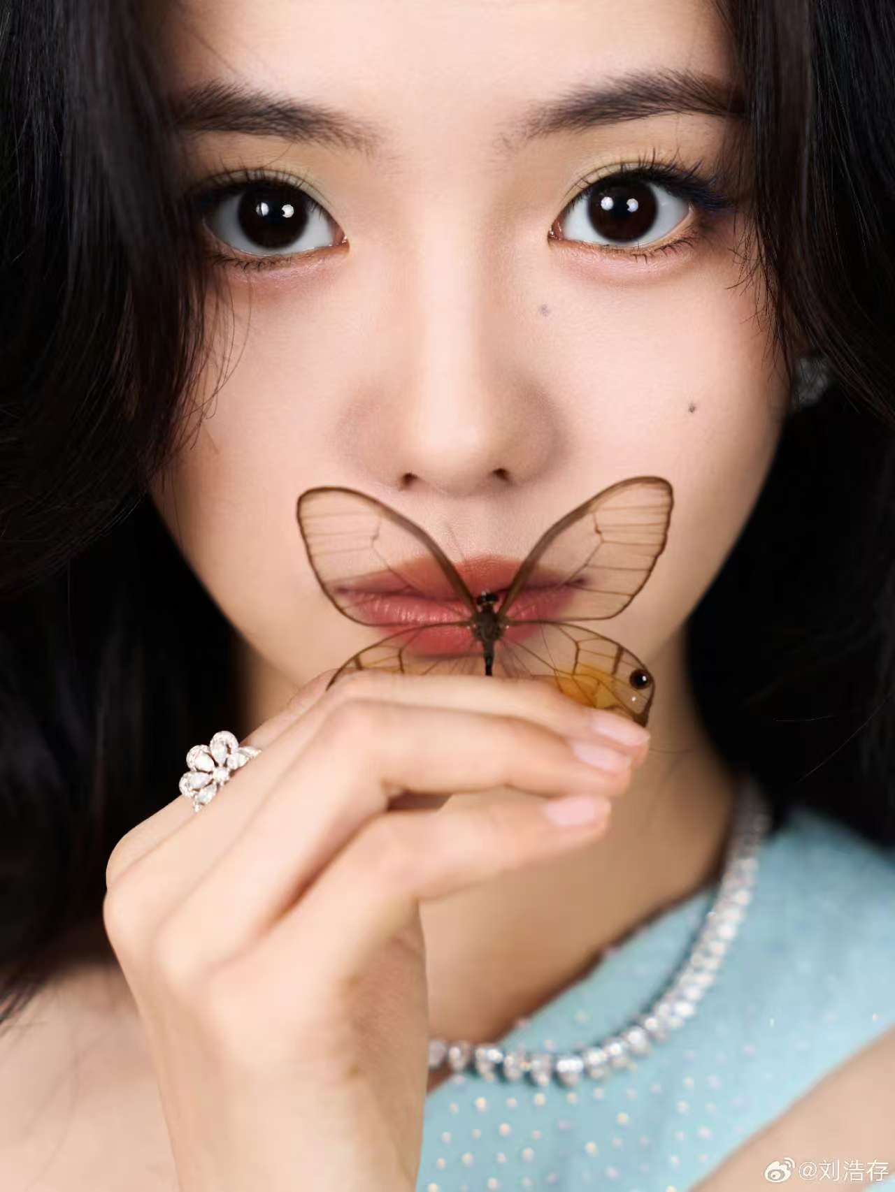 【花开蝴蝶，指尖托起一抹透明的梦】——刘浩存