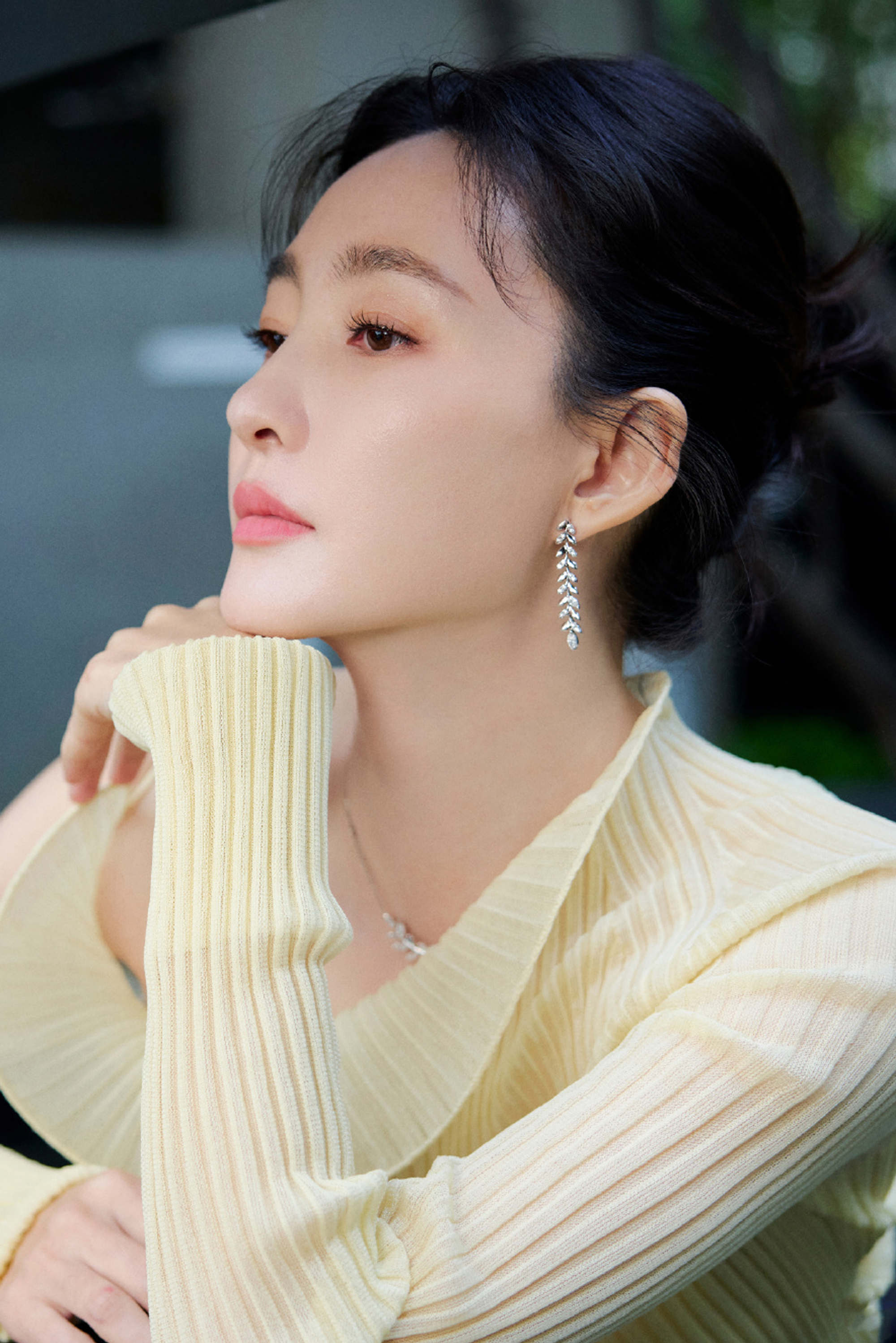 女明星，王丽坤