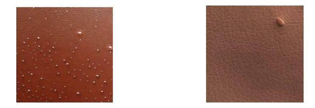 会「进化」的合成数据!无需上传隐私,也能生成高质量垂域数据