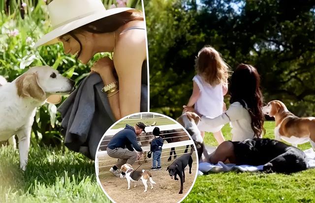 梅根的最后一搏：让3岁女儿模仿夏洛特的奔跑，要流量不要底线了