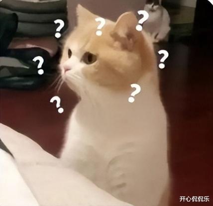 这俩...到底谈了没?