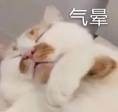 国产手机接下来这些新技术,让iPhone17彻底不香了